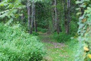 Elk Forge Bed & Breakfast Architecture Images